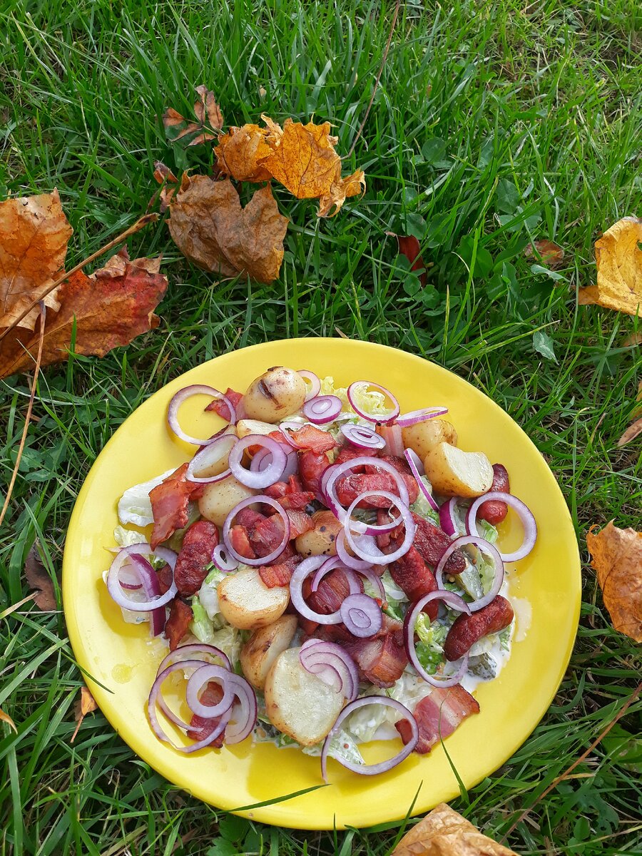 Пивной стол закуски