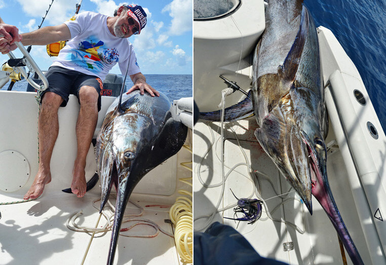 Фото к отзыву о рыбалке на Сейшелах в декабре 2012 года