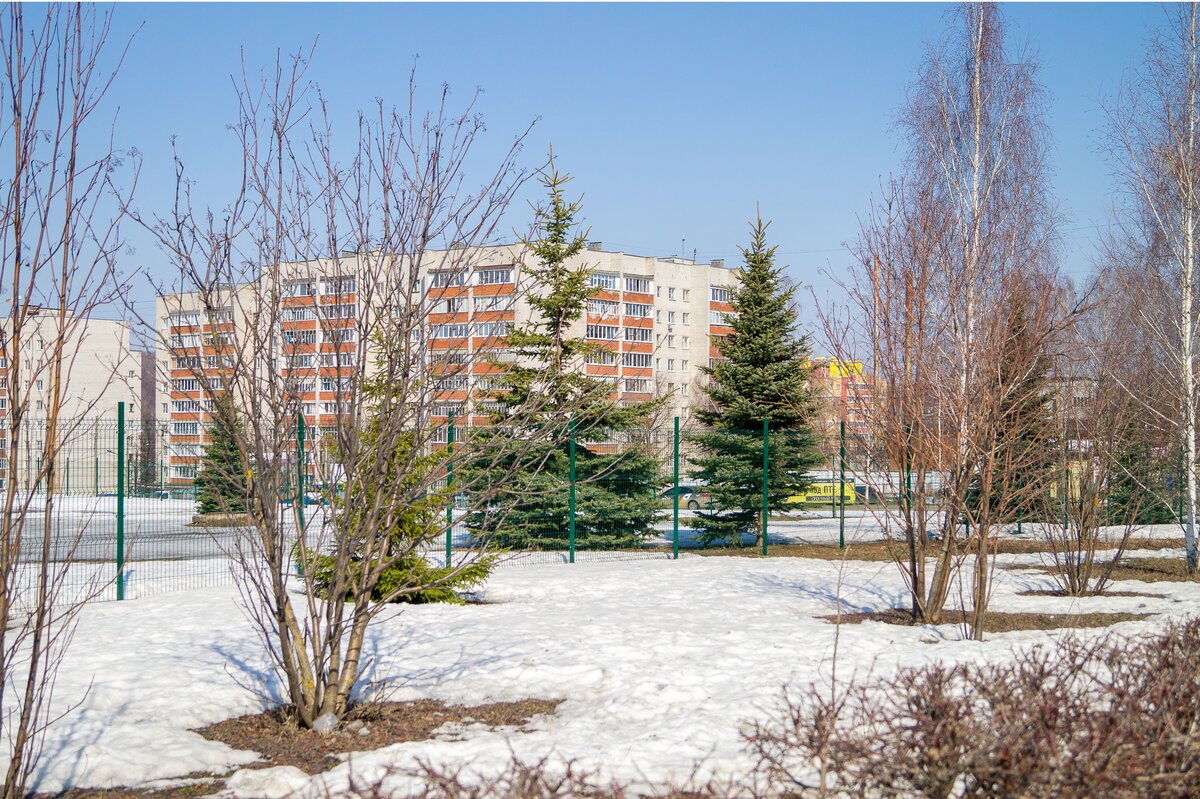 Институт культуры и искусств. Фото автора.