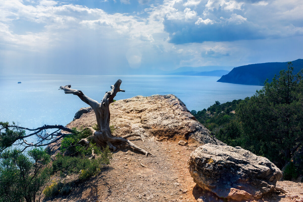 Фильмпалогие скалы Крыма