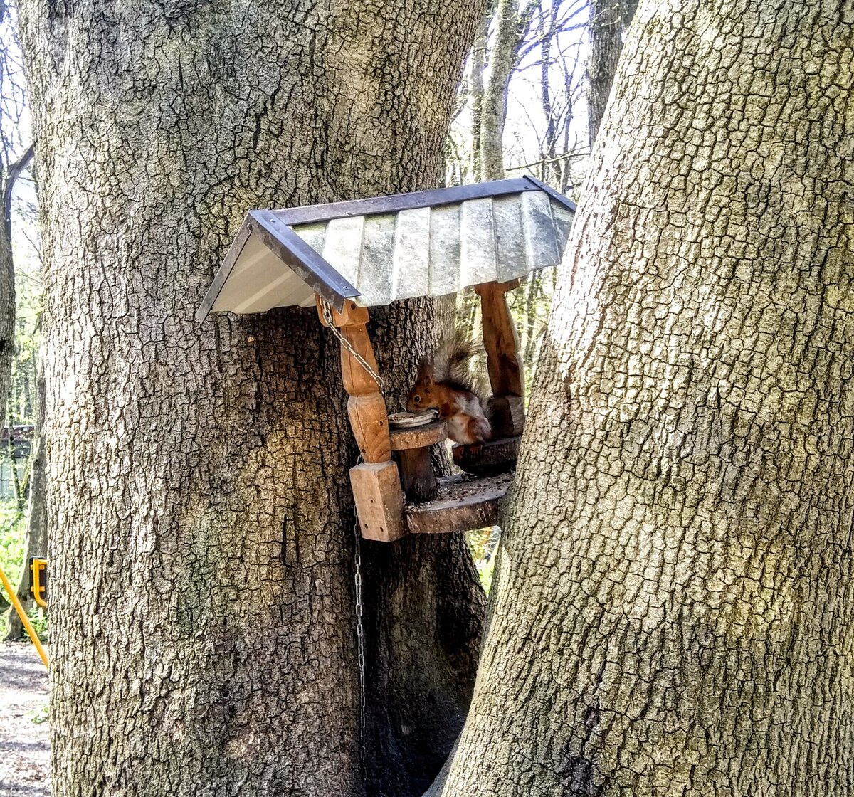 И главное на стульчике и за столом.