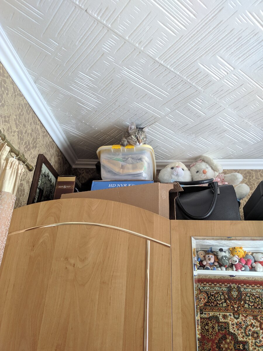 Нашли деточку под потолком