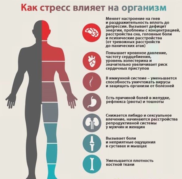 (Фото из интернета)