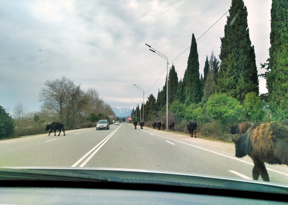 Осторожнее на дорогах