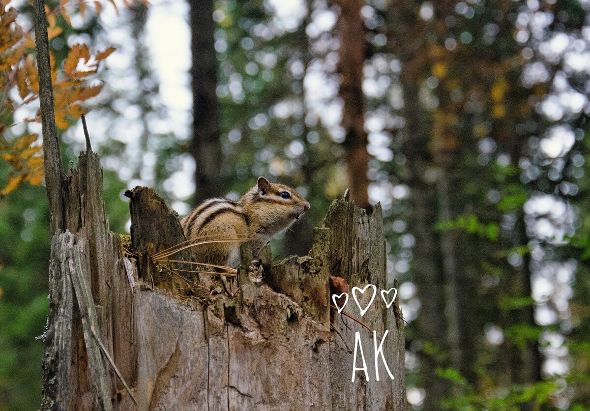 Он занимался своими делами.