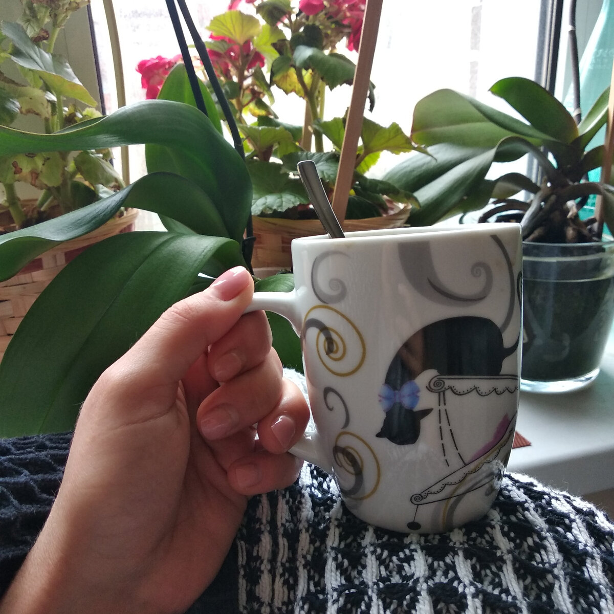 Интроверт под пледом уютно творит в стол, здрасьте, это я :)))
