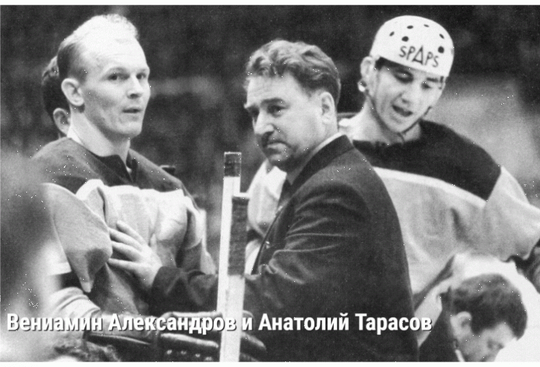 подборка фото автором