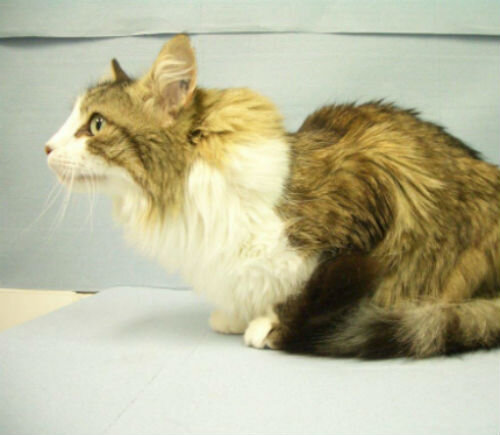 Проблемы с дыханием