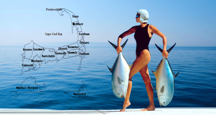 Через 20 лет вы будете больше сожалеть о том, чего не сделали, чем о том, что вы сделали. Поэтому отбросьте сомнения. Уплывайте прочь от безопасной гавани. Поймайте попутный ветер в свои паруса. Исследуйте. Мечтайте. Открывайте. Марк Твен
