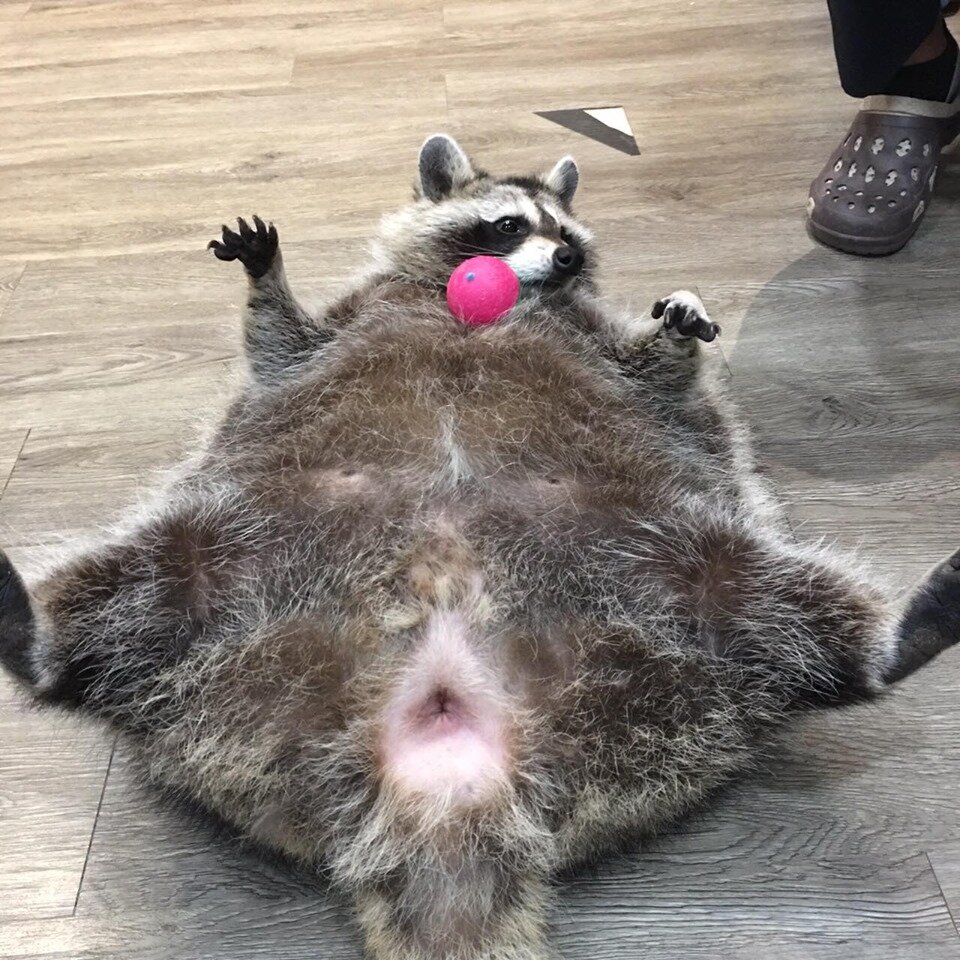 -2