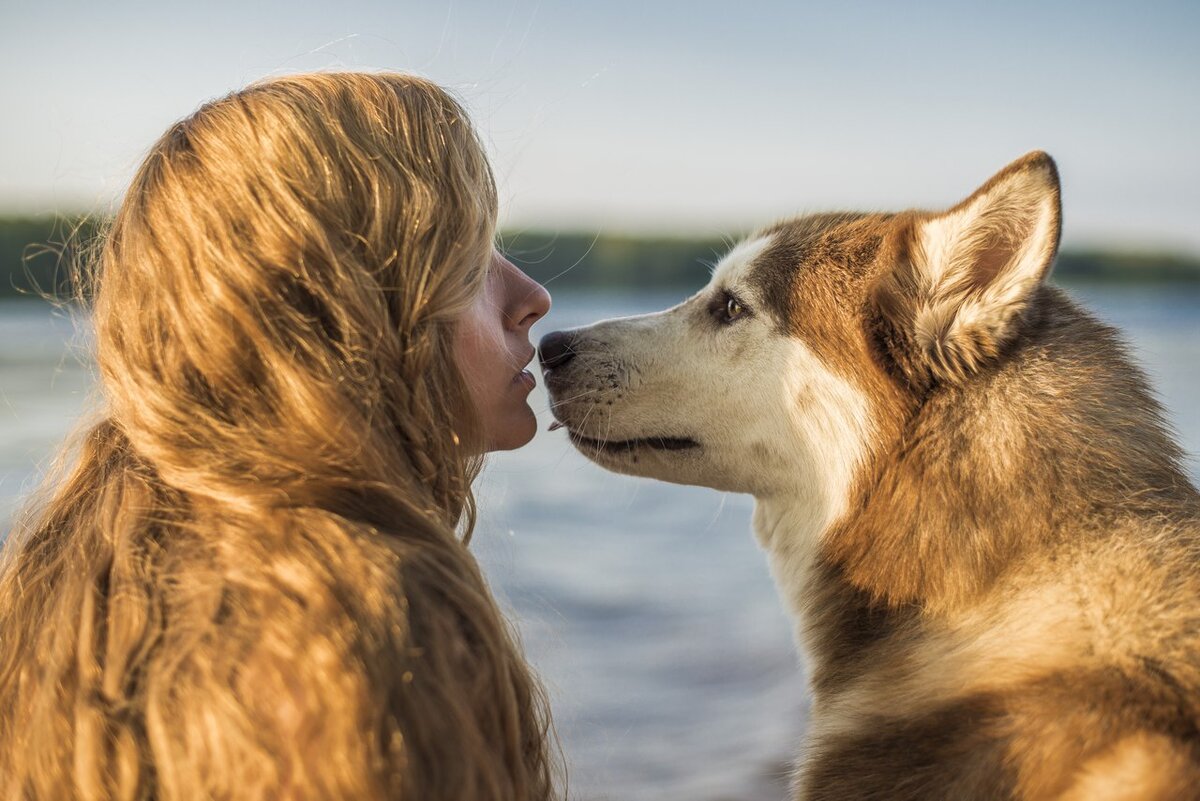 Dogs us. Лара март «когда люди лают – собаки улыбаются».