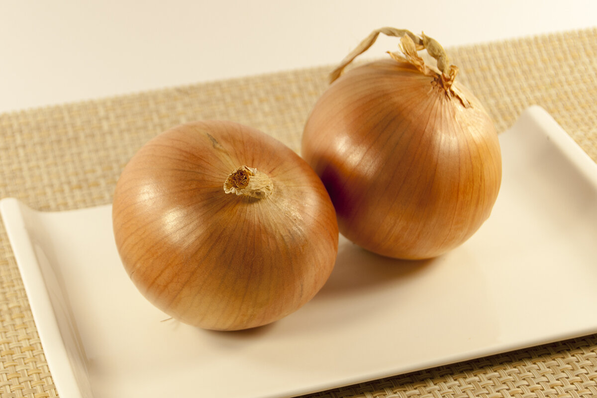 Источник изображения: attuale.ru