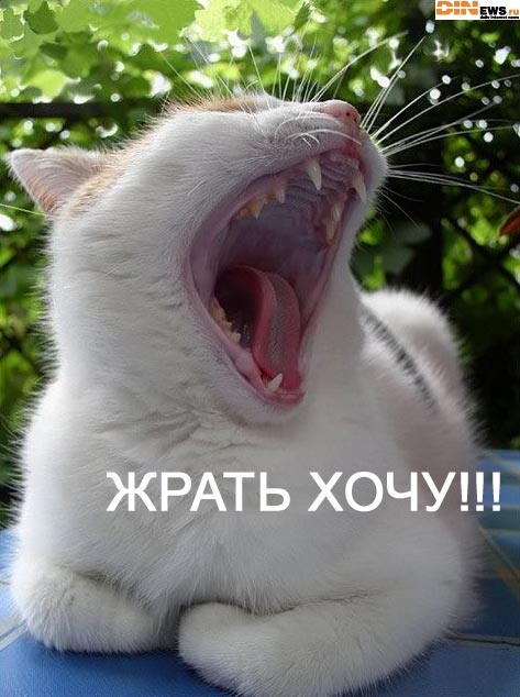 Фото взято с интернет ресурсов.