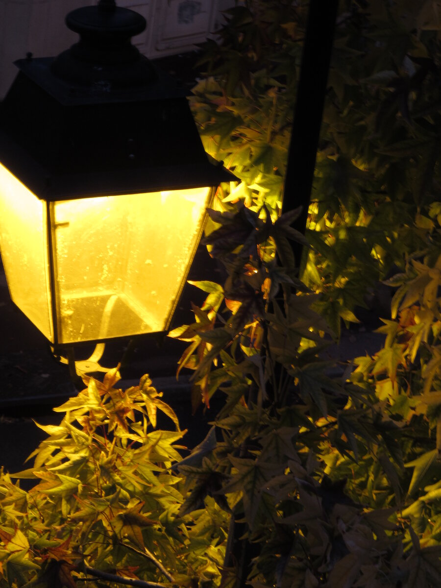 Фото автора статьи для привлечения внимания.