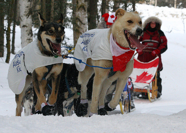 Источник: supplychainbeyond.com