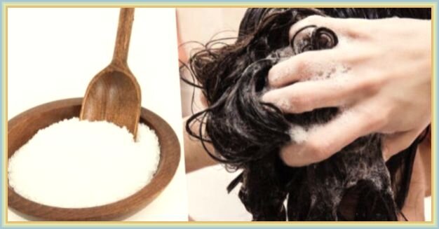 Фотография взято из интернета