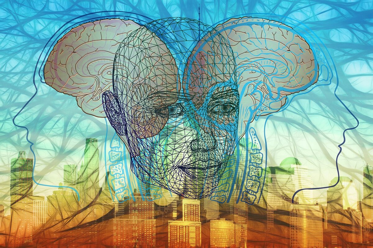 https://pixabay.com/illustrations/brain-face-tree-aesthetic-science-4512304/