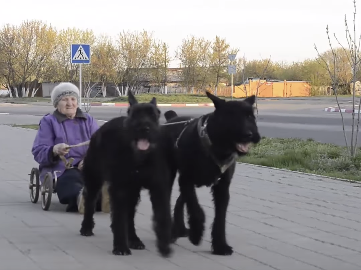 Скриншот (Источник: Ruptly)