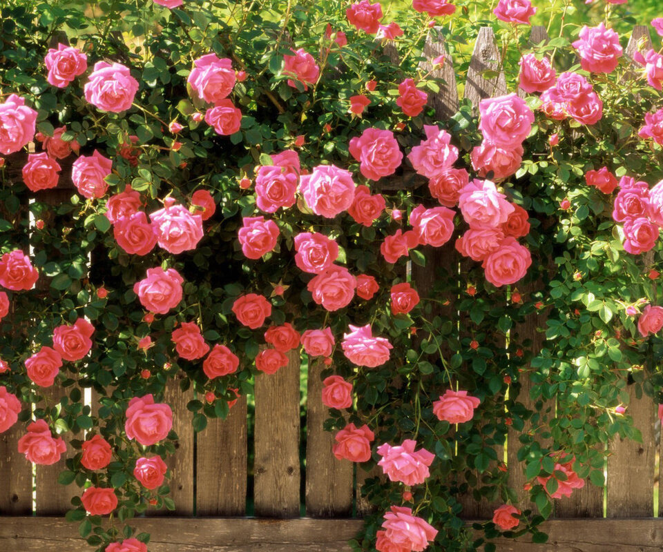 https://gardensecrets.ru