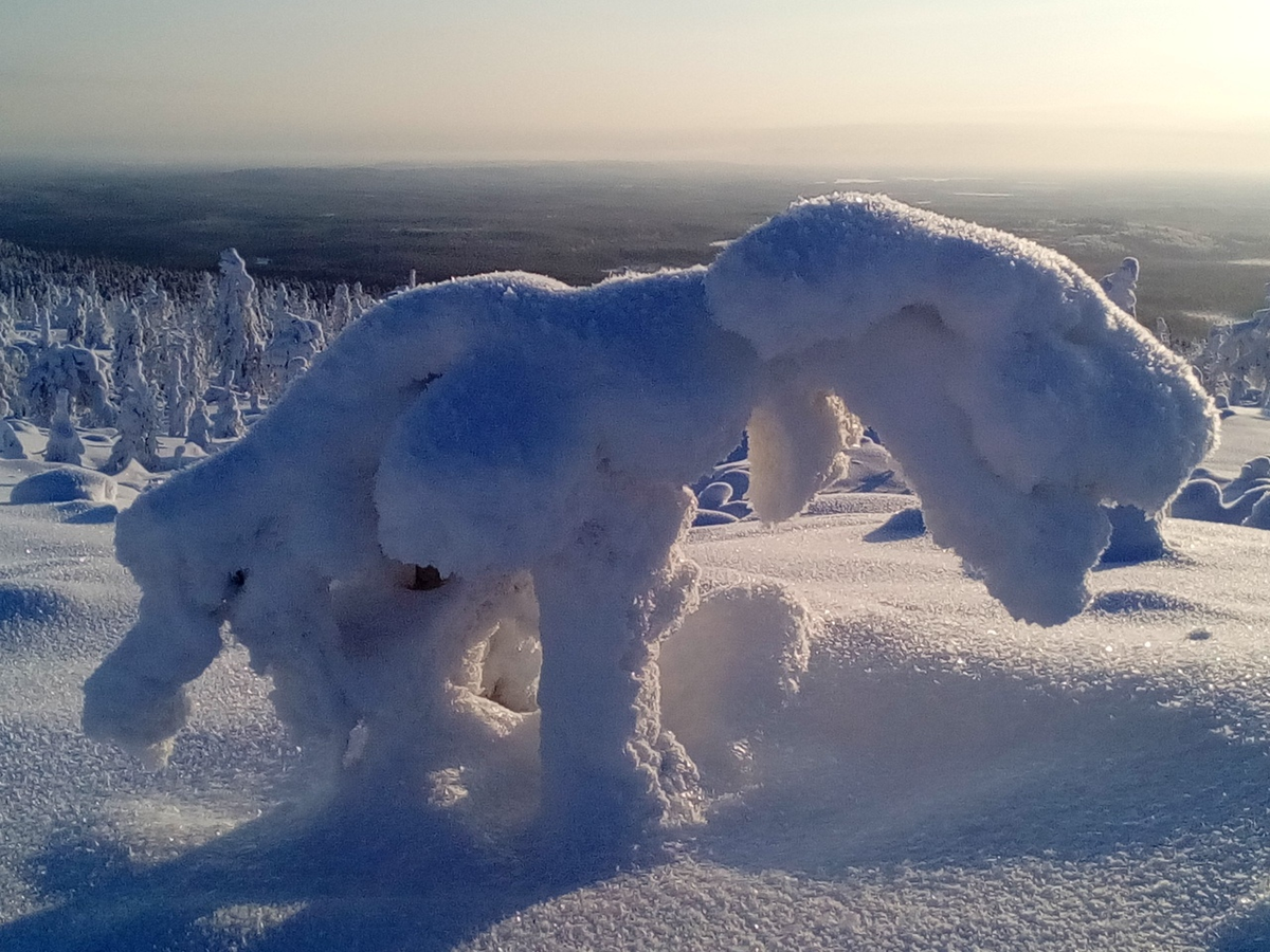 (Фото: Александр Рыжий) 