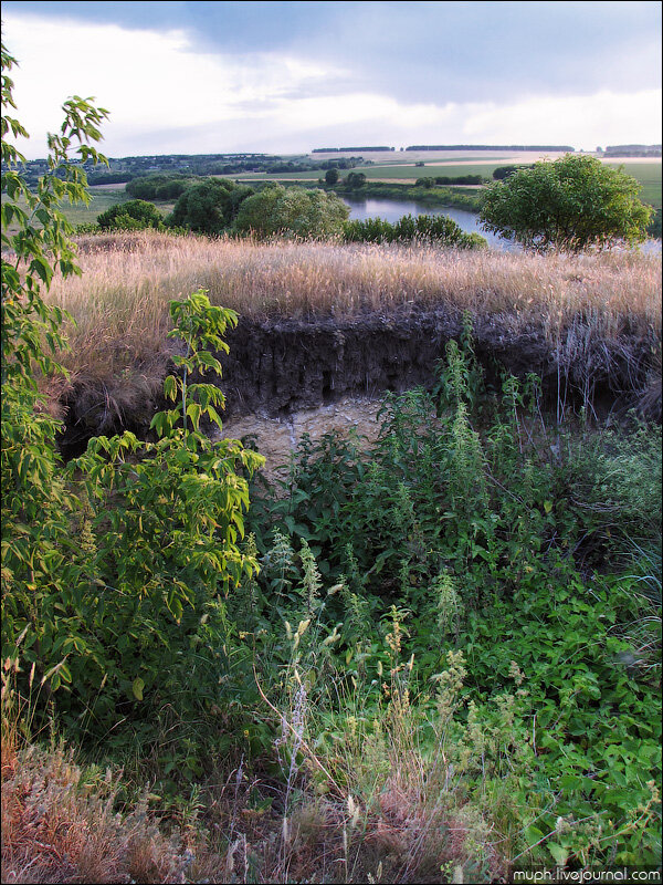 Собственно, камни - они там, внутри.