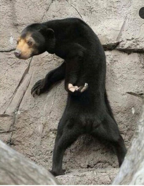 Ну спасибо, блин, за удачные фото и светлые воспоминания!