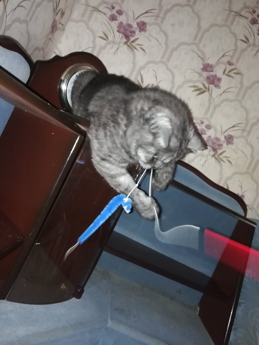 Игруля