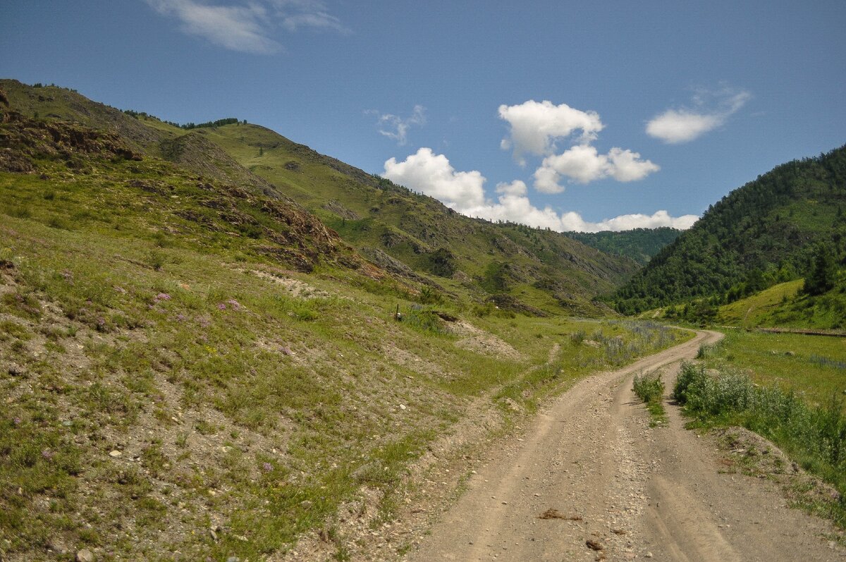 За Куюсом