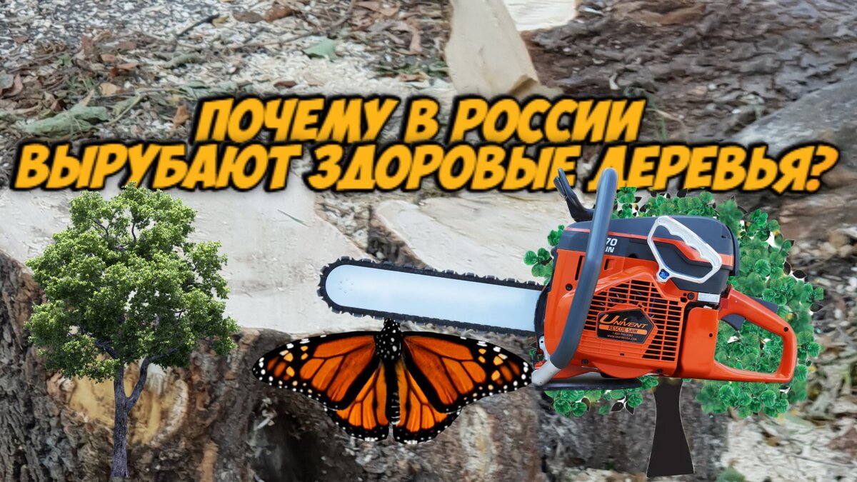 Личное превью