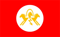 Флаг России. Проект Е.Шнуровского