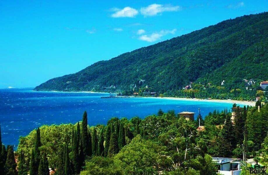 фото взято из Яндекс