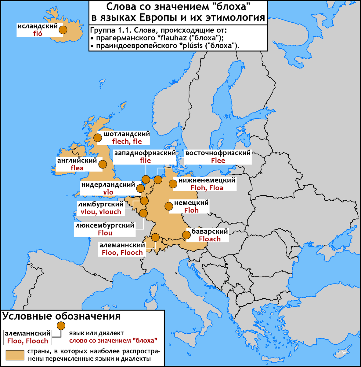 Серия картосхем, рассказывающая об именах насекомого рода Pulex, паразита теплокровных животных, на нескольких десятках европейских языков, а также о происхождении этих названий.