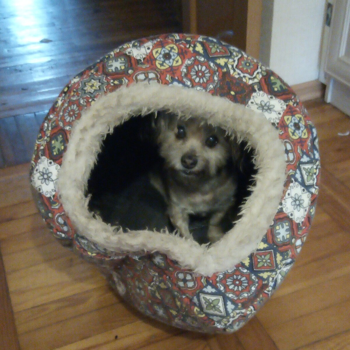 Лада спряталась, я не виновата