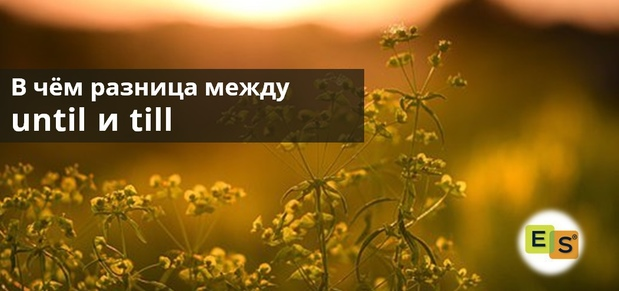 Разница между till и until с примерами Идеи на тему "English language" (82) в 2021 г изучение английского, учебные ресу