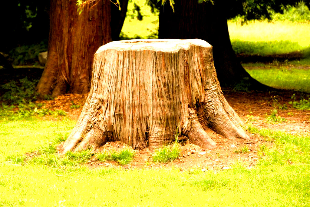 Пень-пнём это минусовой 22 Аркан. 