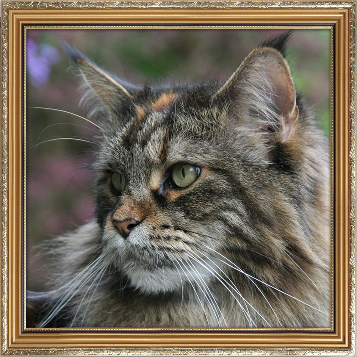 Источник: Pixabay.com