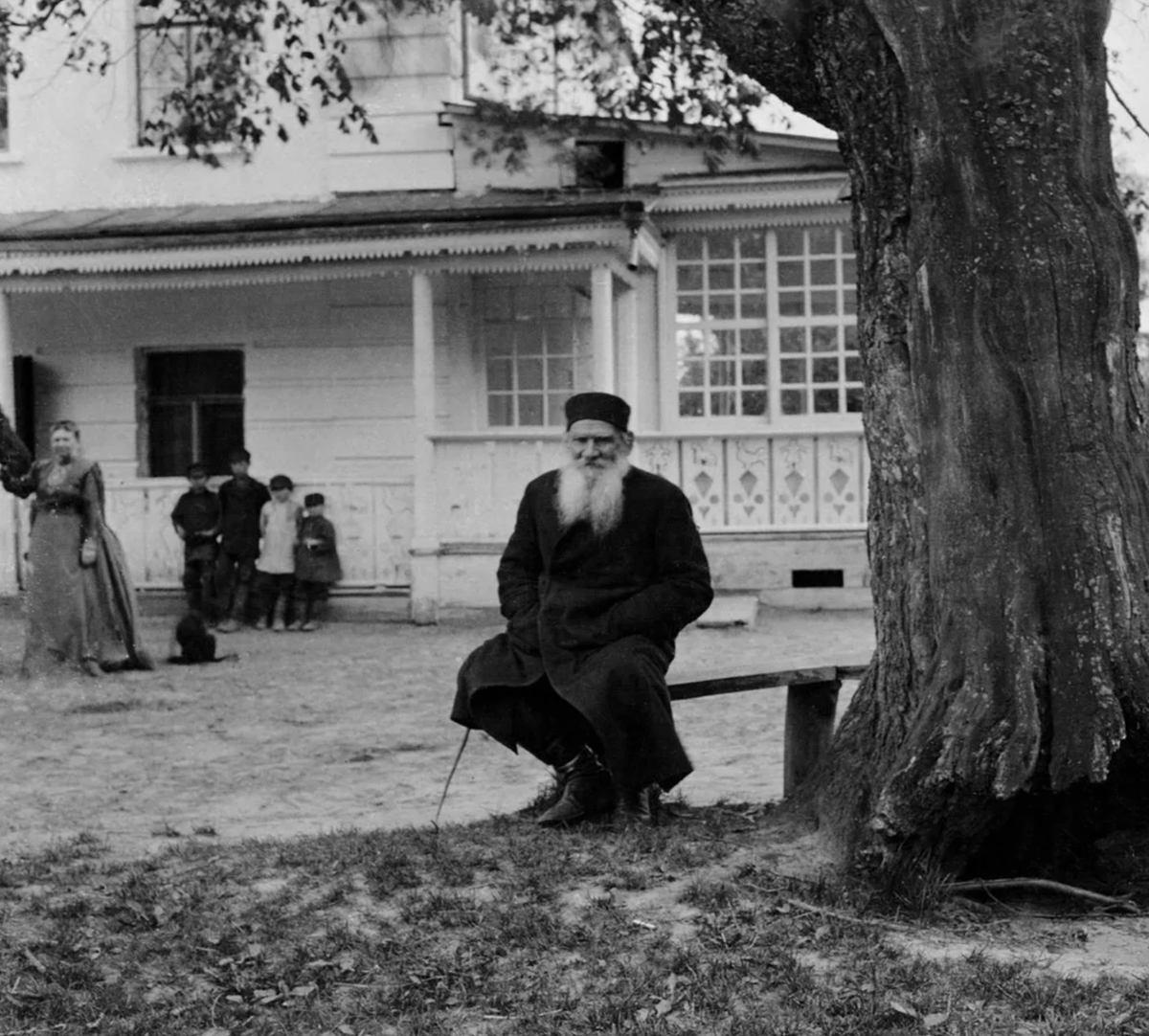 Лев толстой дерево. Ясная Поляна Лев Николаевич толстой. Лев Николаевич толстой в Ясной Поляне. Лев толстой усадьба Ясная Поляна. Толстой в Ясной Поляне.