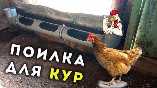 Кормушка для кур из трубы