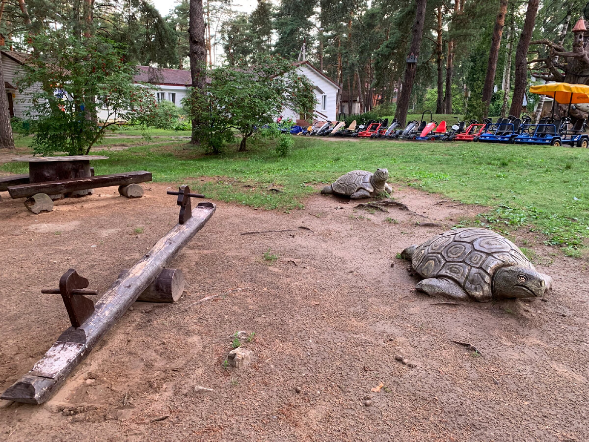 Наш отдых в парк-отеле «Дракино» Серпуховского района | Жизнь и путешествия  с детьми | Дзен