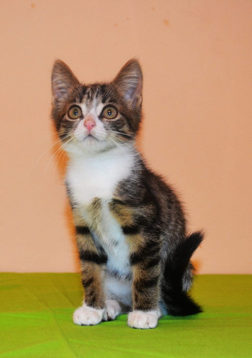 Присмотритесь получше !!! Какое само Очарование ждёт вас !!!