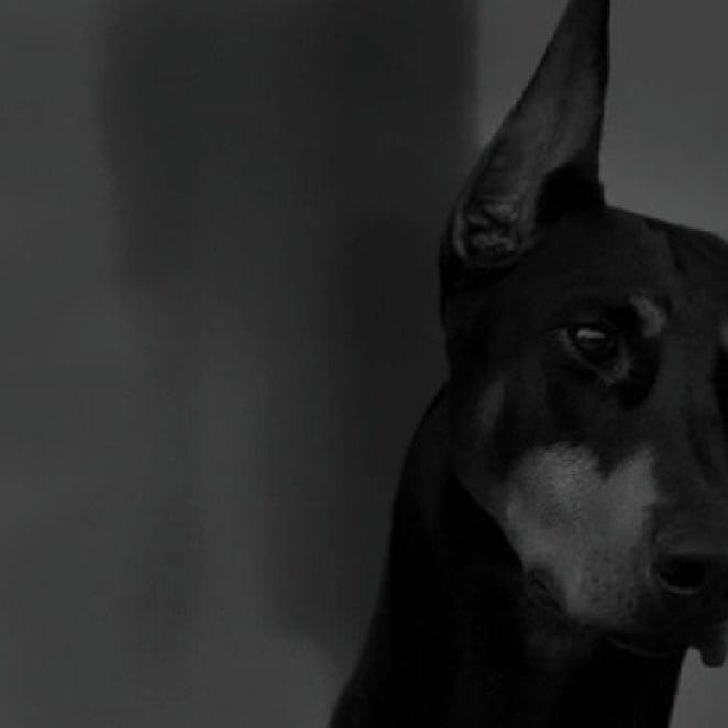 #поэзия #стихи #цитаты #мысли вслух #поэт 