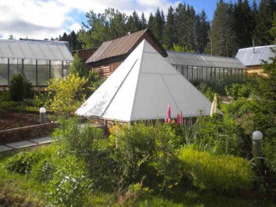 Фото ogorodsadovod.com