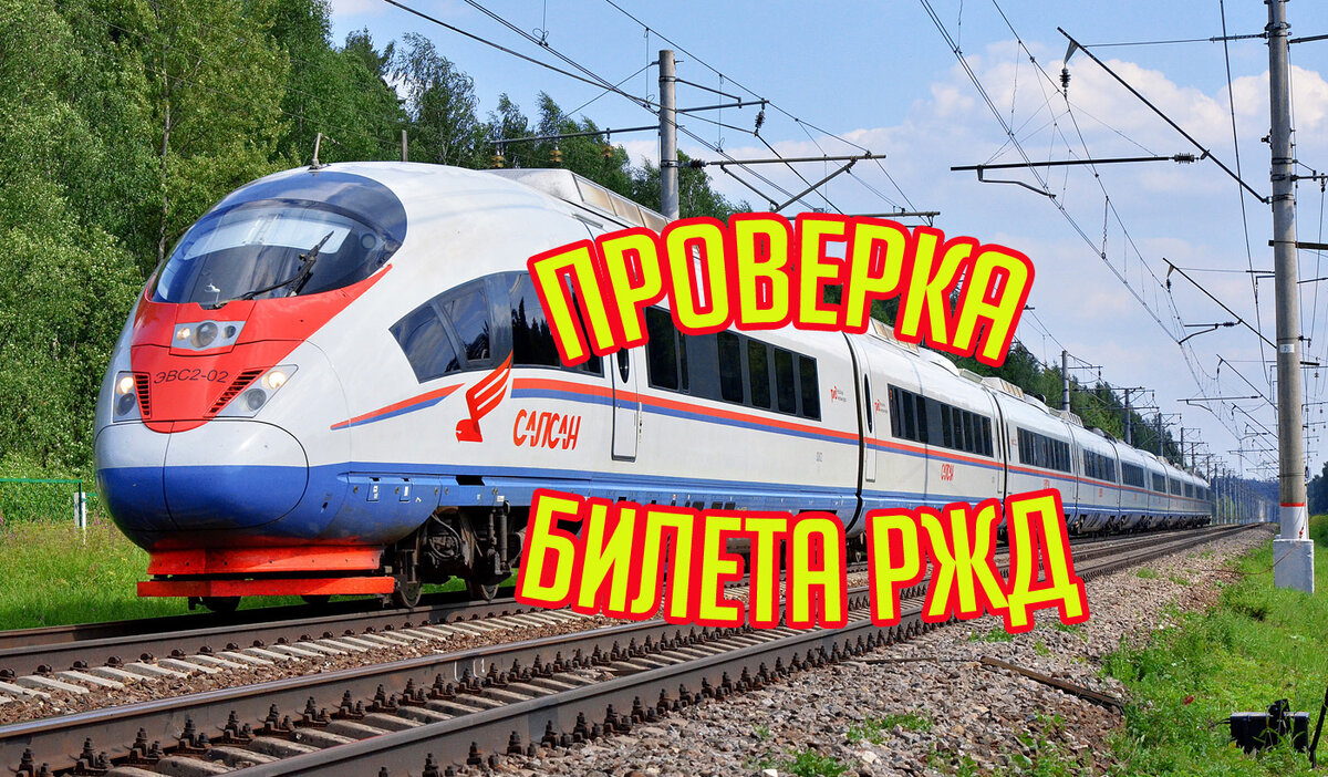 Скоростной поезд Сапсан Москва-Питер