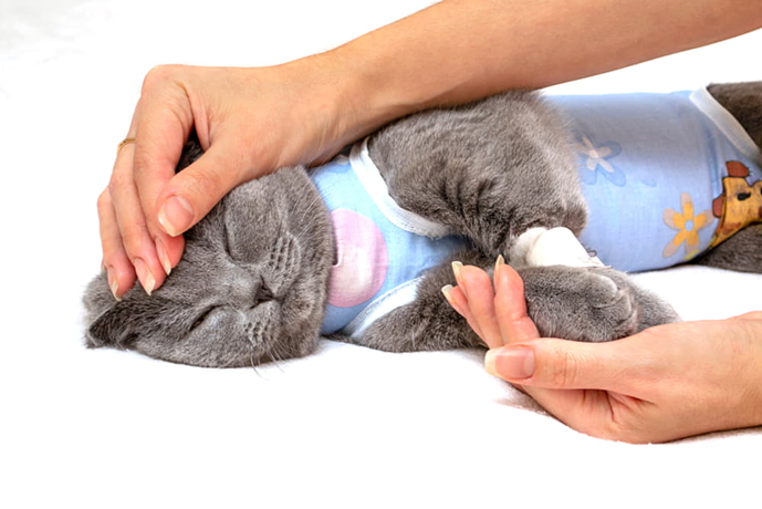 Подобный наряд нужен для защиты после различных операций и травм.