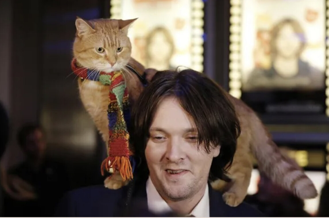 Кот боб и джеймс боуэн. Кот боб фильм. Люк тредэвэй джеймс боуэн. Люк тредэвэй кот боб. Люк тредэвэй кот боб.