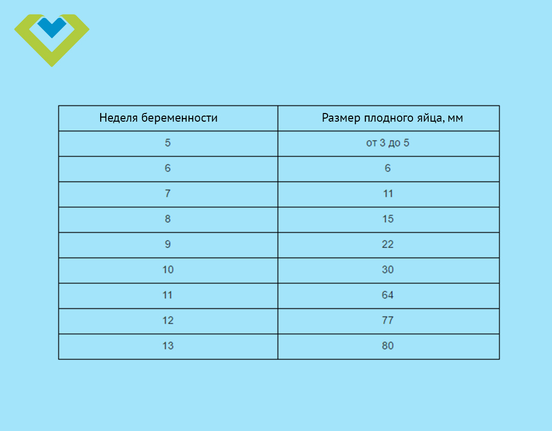 5-8 недели беременности