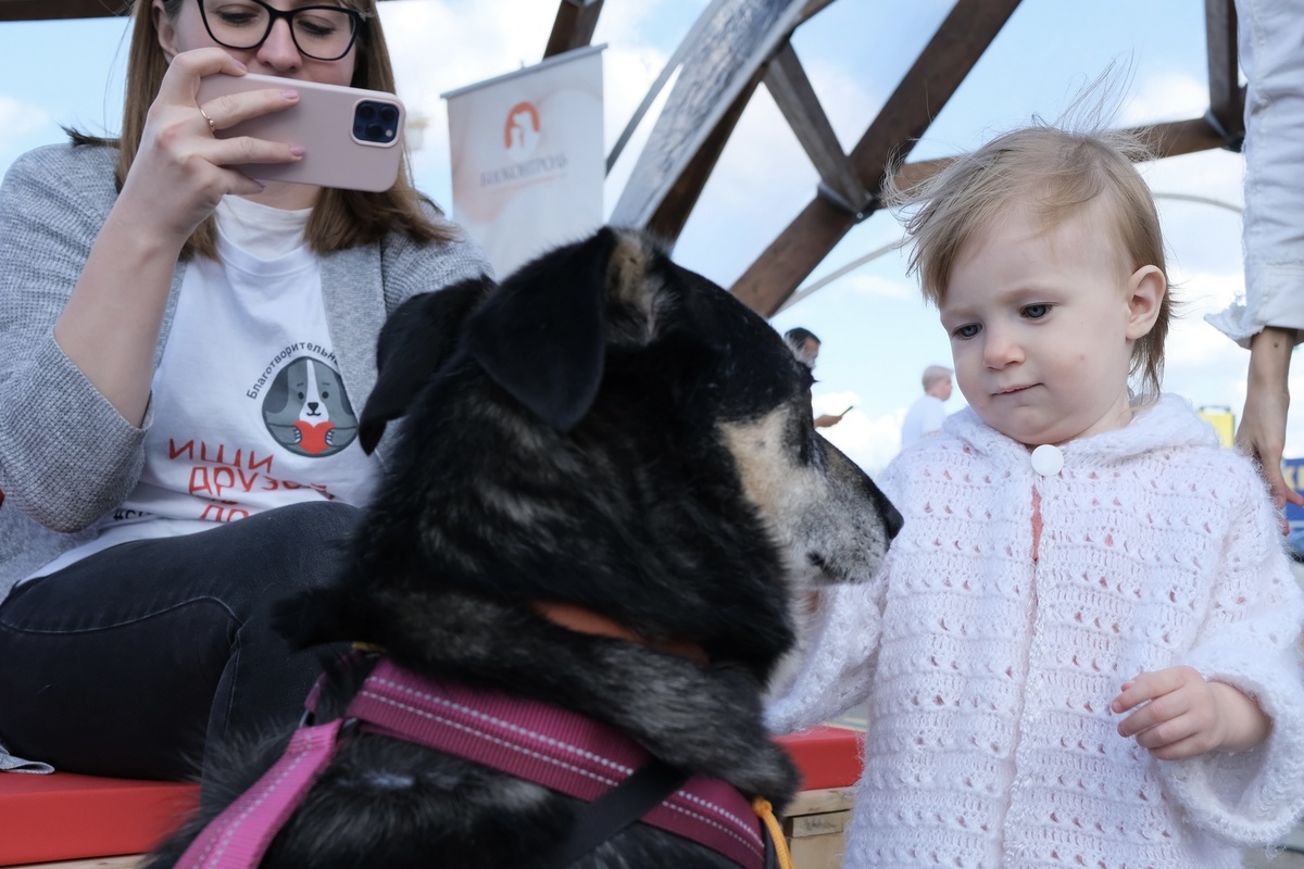 Фото- собственность канала