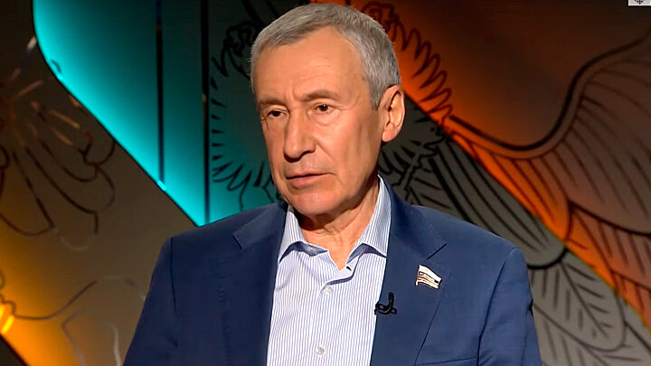 СЕНАТОР АНДРЕЙ КЛИМОВ. ФОТО: ТЕЛЕКАНАЛ ЦАРЬГРАД 