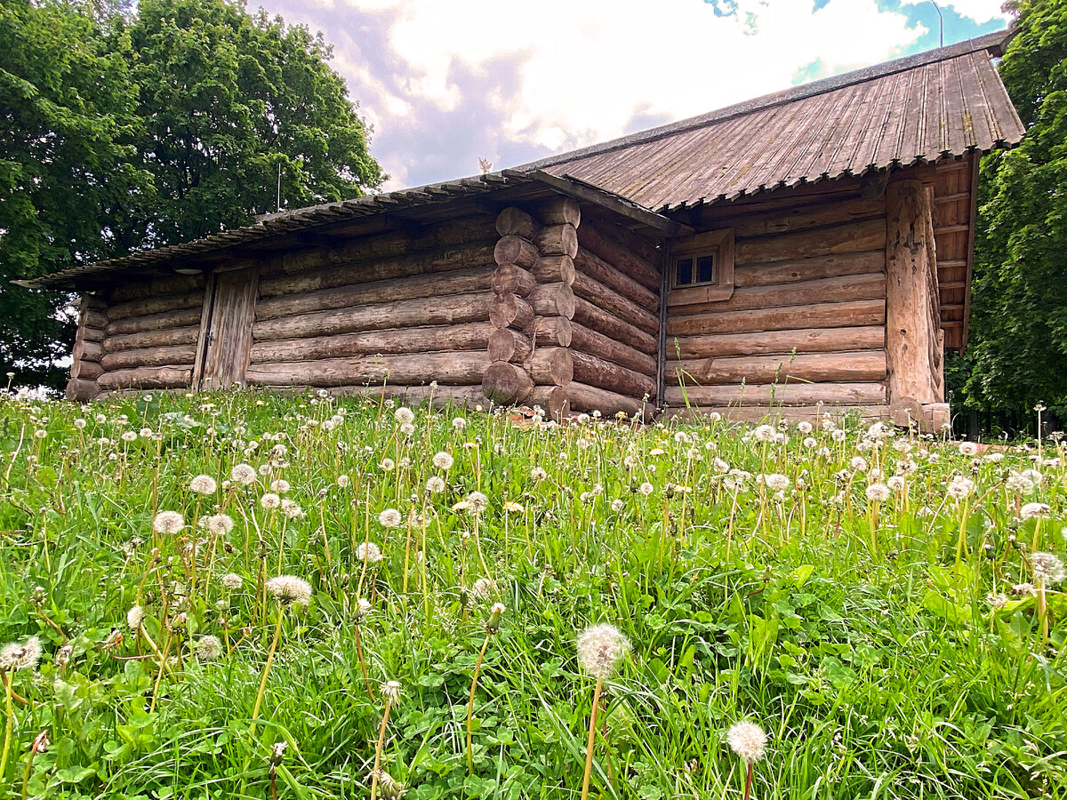 В парке Коломенское.