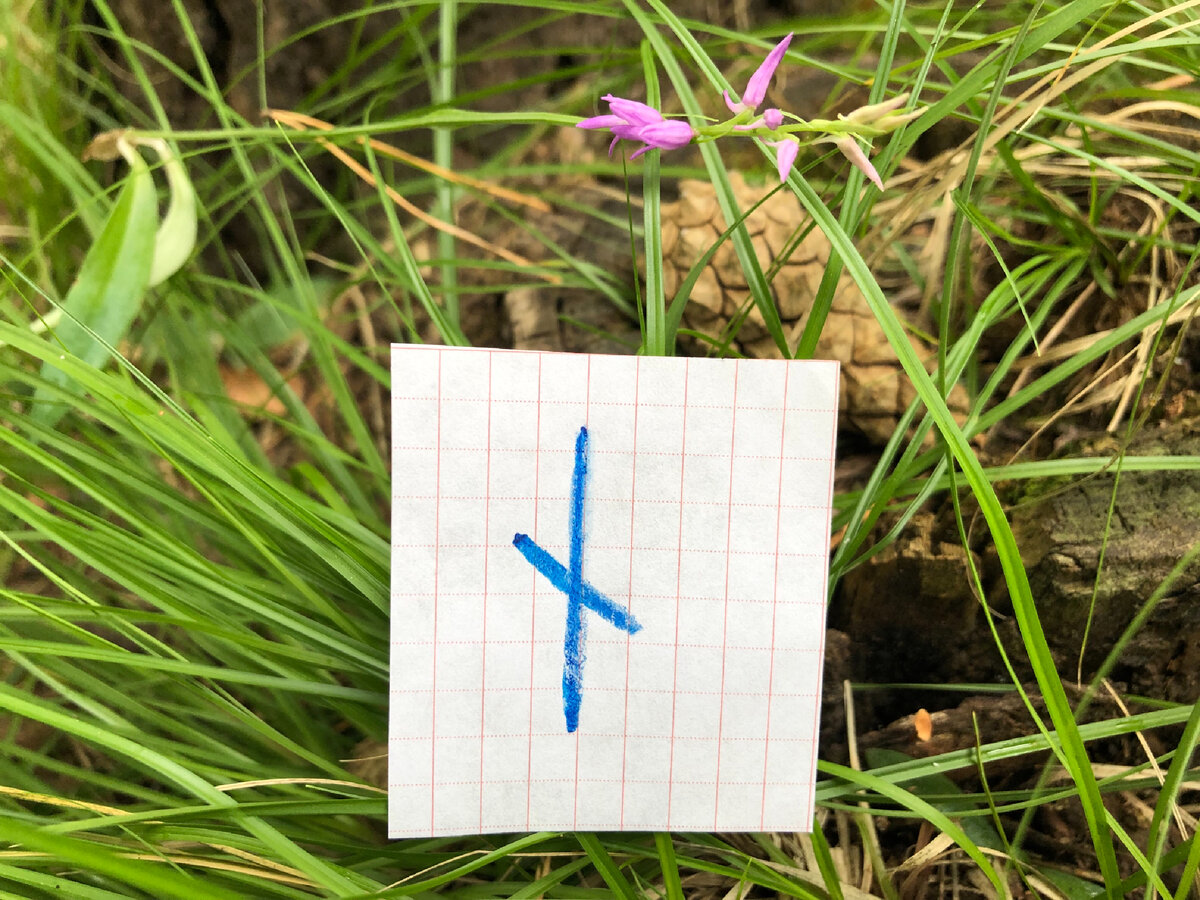 Руна Наутиз